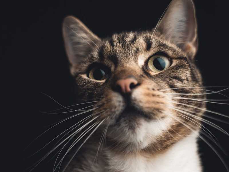 Más allá del&nbsp;obstáculo