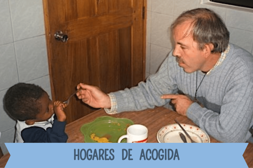 Hogares de acogida